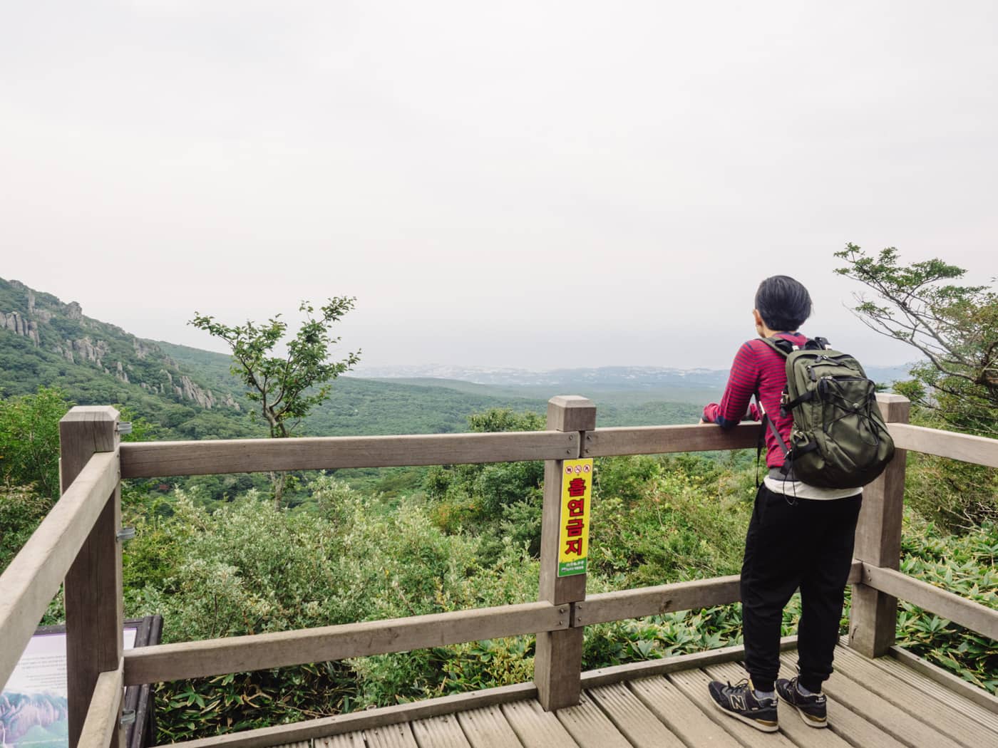 Korea - Mt Hallasan - Wy taking a break and admiring the view