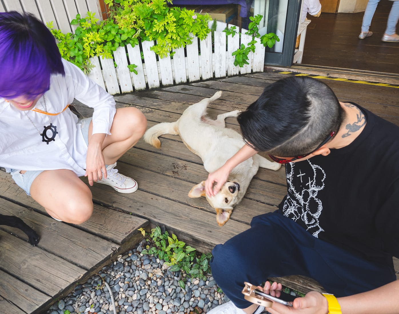 Taiwan - Qingjing - E & A playing with dogs
