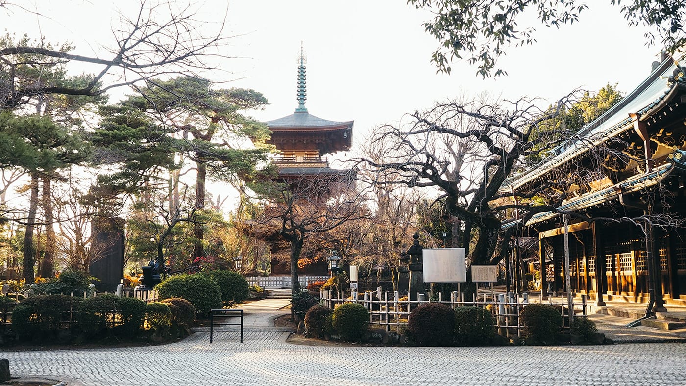 Japan - Gotokuji Temple - View of the shrine with bonsai looking trees