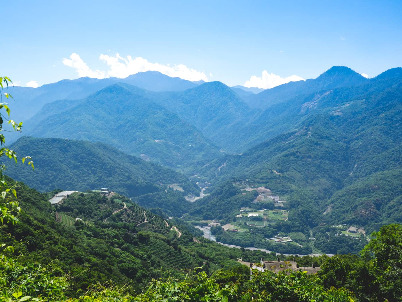 Taiwan - Qingjing - Check out the plantation afar