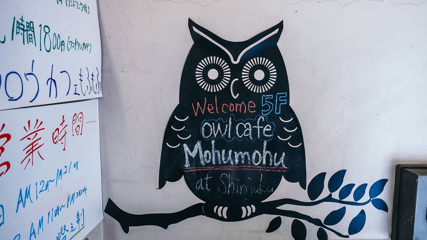 Japan - Shinjuku - Mohumohu Owl Cafe