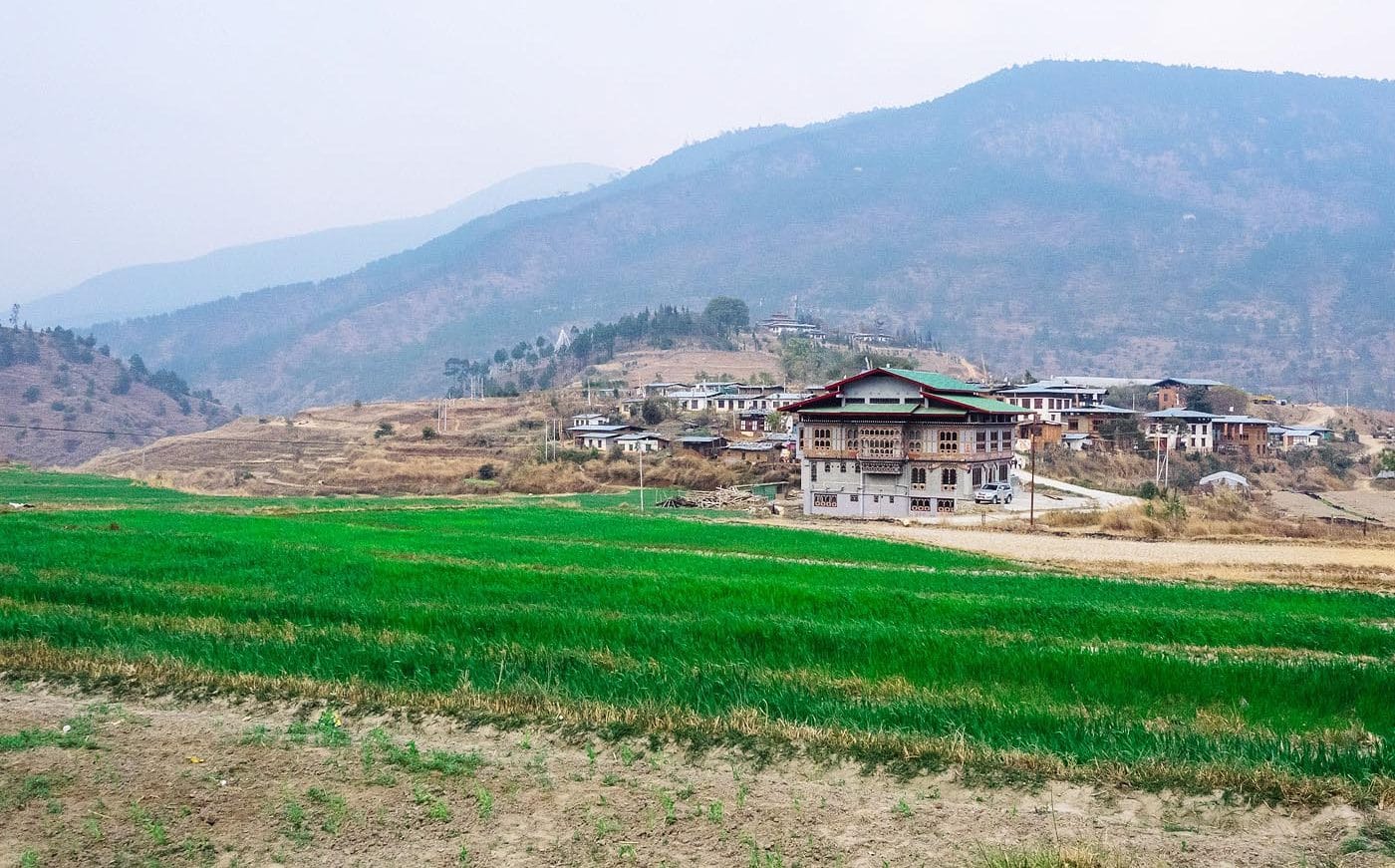 Rice paddy field on the way to Sopsokha villlage