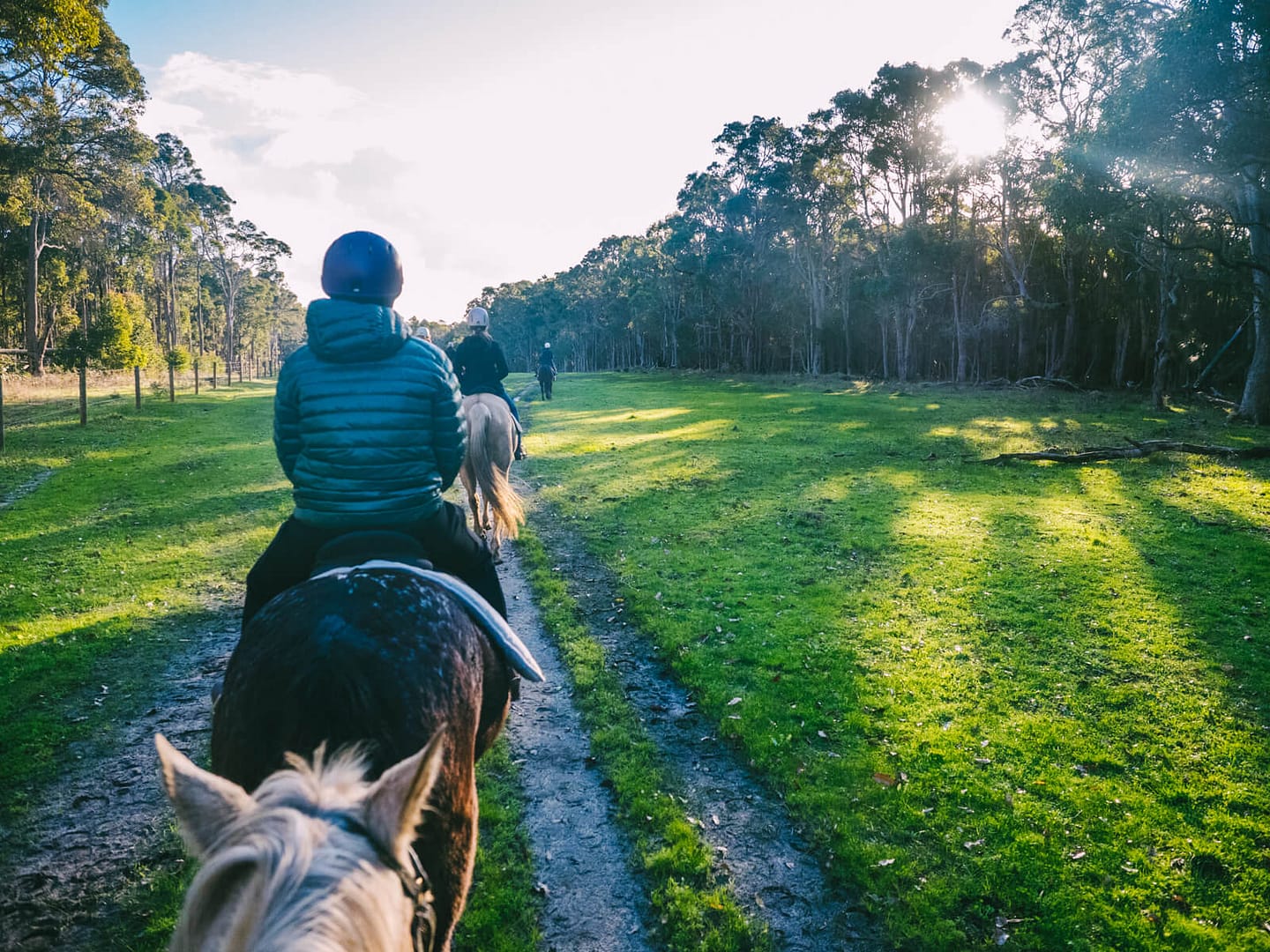 Perth, Australia - Jesters Flat - Peaceful horse riding experience