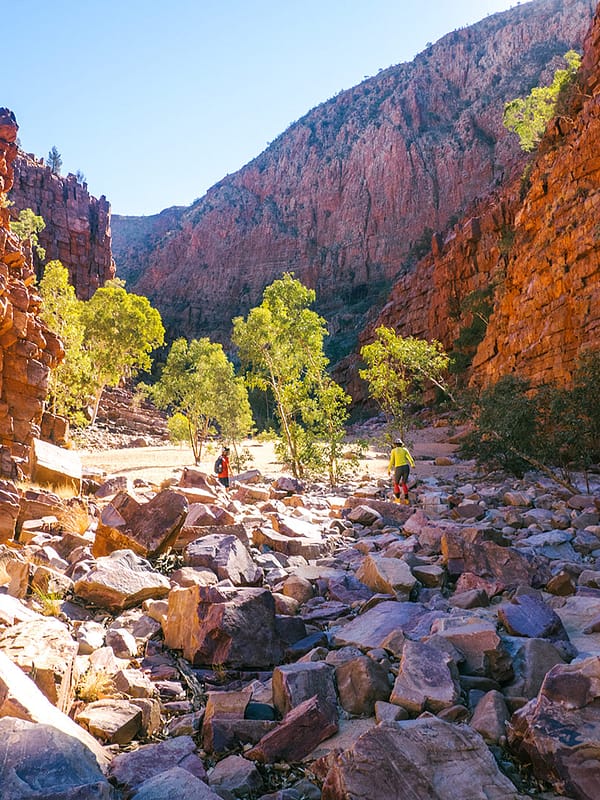 The climb is real... at Ormiston Gorge